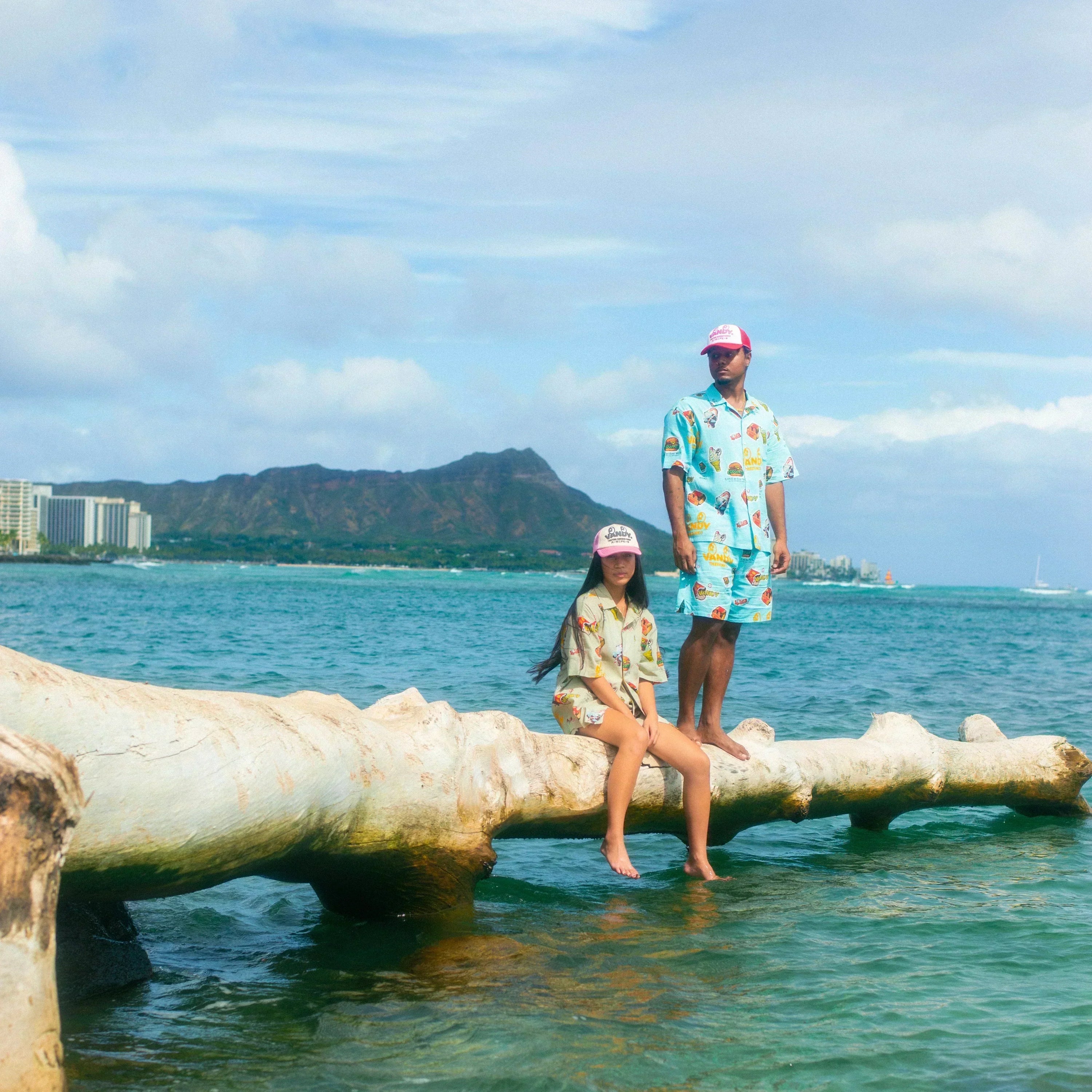 Vandy The Pink Hawaii